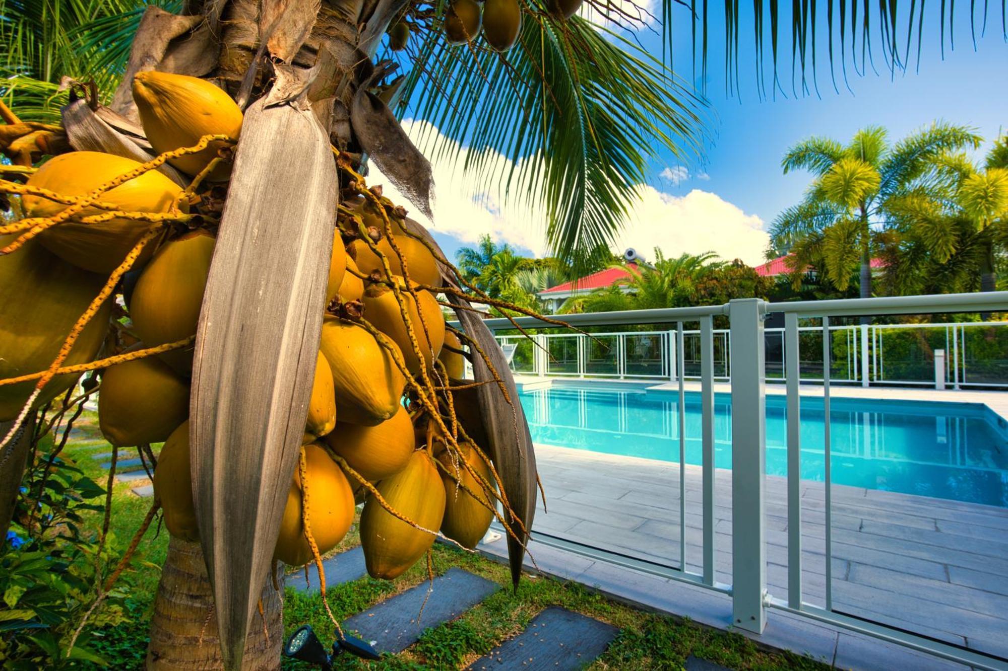 Hotel & Villa Le Cocotel Saint-Francois  Exterior foto